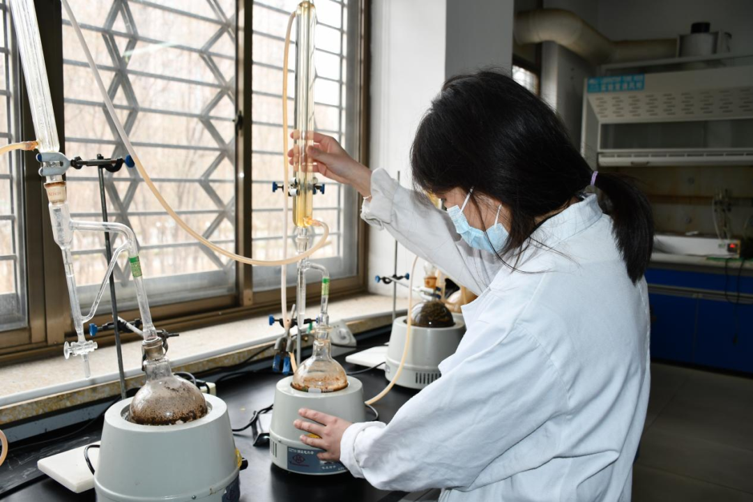 一年之计在于春，青春奋斗正当时——医养健康集团