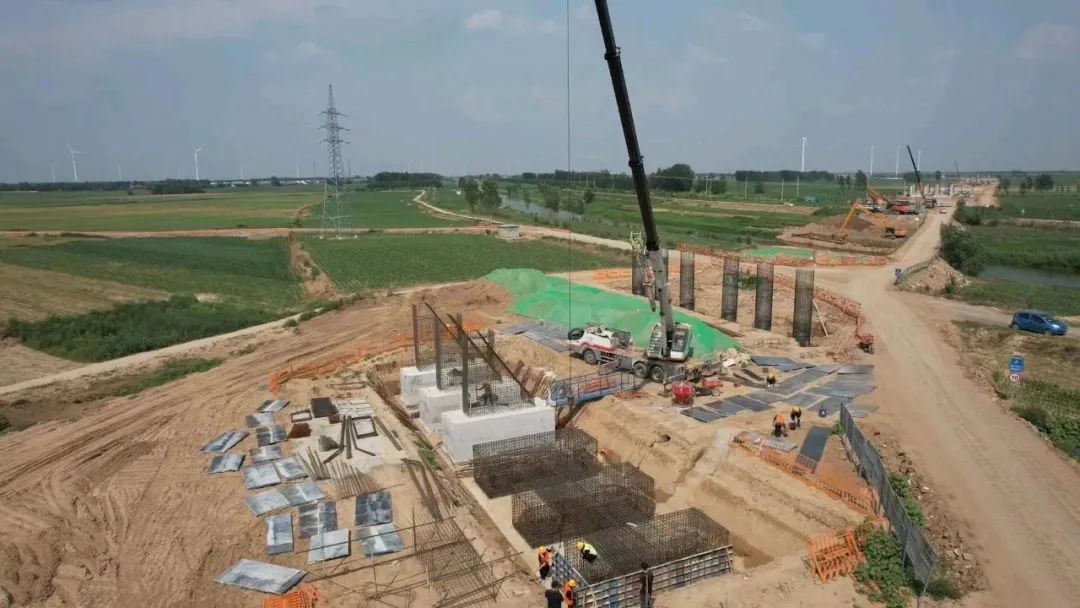 【项目负责人说】董磊：敢挑重担 踔厉奋发