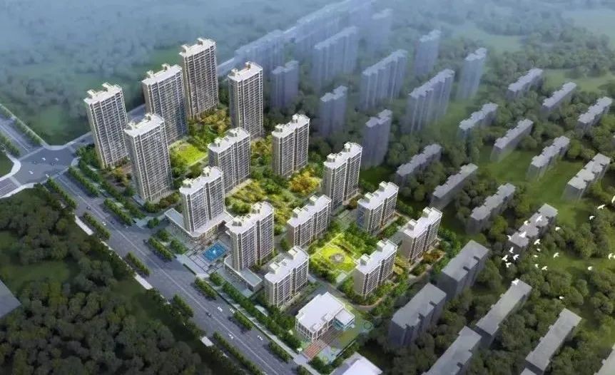 【项目负责人说】叶书庄：勇毅前行 精益求精